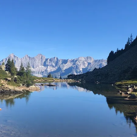 Frauenschuh Schladming