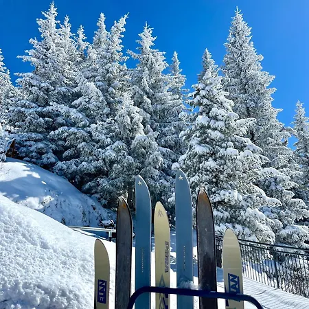 Frauenschuh * Schladming