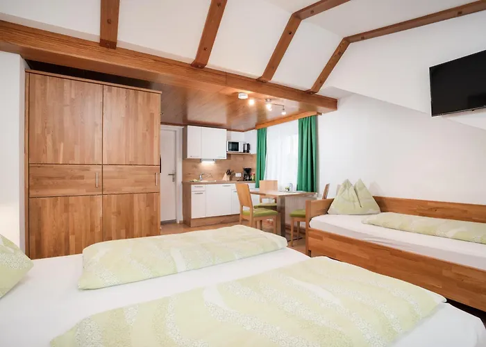 Apartamento Frauenschuh Schladming