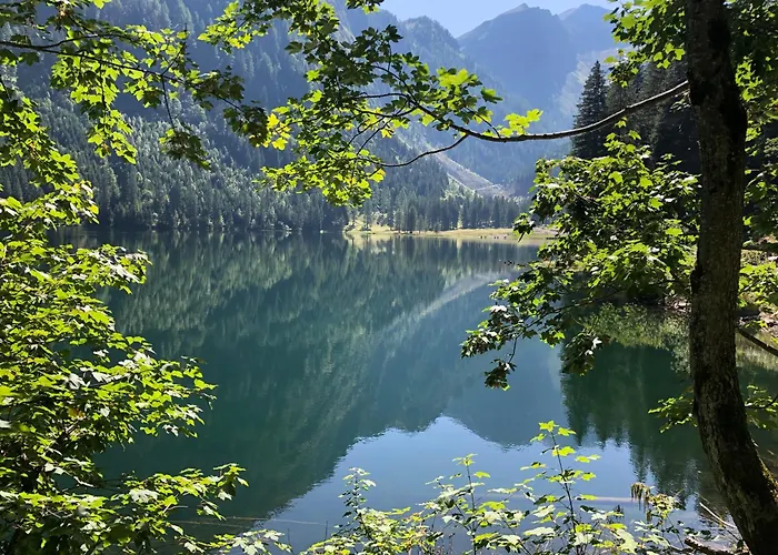 Frauenschuh Apartamento Schladming